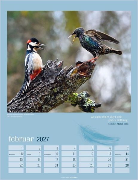 Produktbild: Heimische V&ouml;gel Kalender 2027