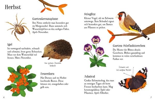 Produktbild: Usborne Minis Naturf&uuml;hrer: Im Garten