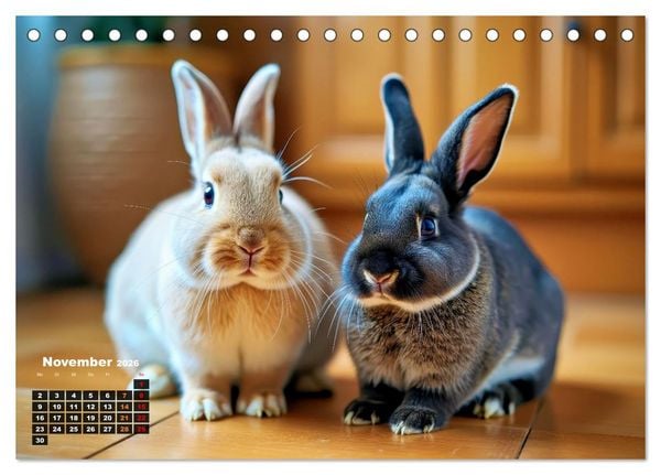 Produktbild: Kuschelige Kaninchen (Tischkalender 2026 DIN A5 quer), CALVENDO Monatskalender