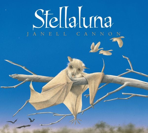 Produktbild: Stellaluna Board Book