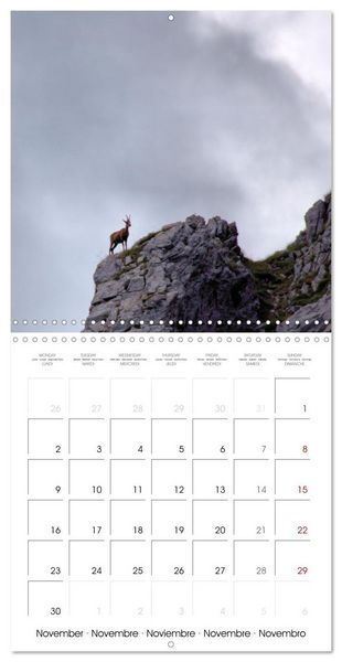 Produktbild: Deux &eacute;t&eacute;s en Vall&eacute;e d'Ossau (Calendrier mural carr&eacute; 2026 30x30 cm) Calendrier double avec une page pour vos prises de notes