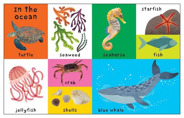 Produktbild: First 100 Nature Words