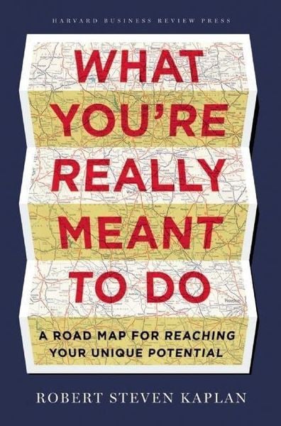 Produktbild: What You're Really Meant to Do