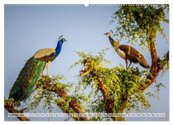 Produktbild: Indien - Spektakel der Farben (hochwertiger Premium Wandkalender 2026 DIN A2 quer), Kunstdruck in Hochglanz