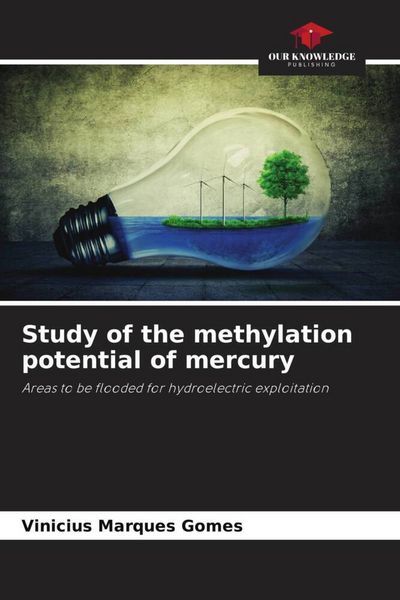 Produktbild: Study of the methylation potential of mercury