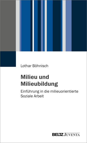 Produktbild: Milieu und Milieubildung