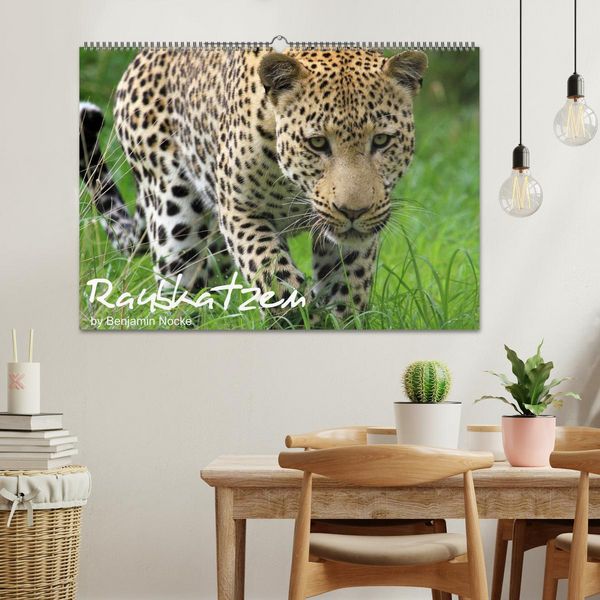 Produktbild: Raubkatzen (Wandkalender 2026 DIN A2 quer), CALVENDO Monatskalender