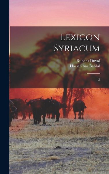 Produktbild: Lexicon syriacum