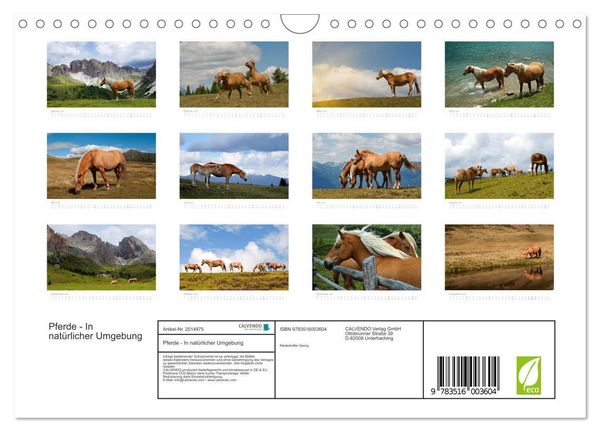 Produktbild: Pferde - In nat&uuml;rlicher Umgebung (Wandkalender 2026 DIN A4 quer), CALVENDO Monatskalender