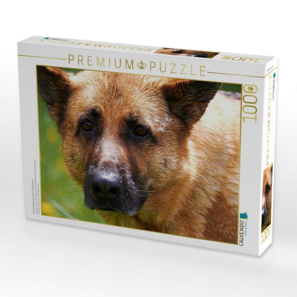Produktbild: CALVENDO Puzzle Liebeserkl&auml;rung an den Sch&auml;ferhund | 1000 Teile Lege-Gr&ouml;&szlig;e 64x48cm Foto-Puzzle f&uuml;r gl&uuml;ckliche Stunden