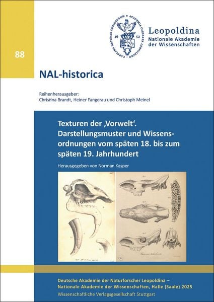 Produktbild: Texturen der &sbquo;Vorwelt&lsquo;