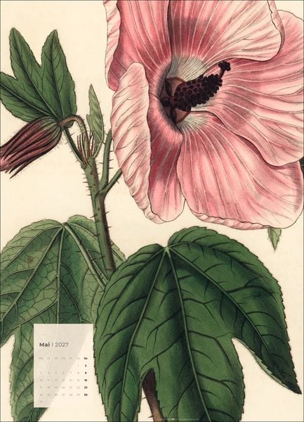 Produktbild: Botanicals Kalender 2027