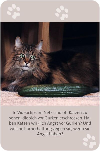 Produktbild: Das gro&szlig;e Katzen Quiz