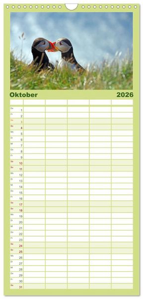 Produktbild: Familienplaner 2026 - Papageitaucher - Clowns der nordischen Vogelwelt mit 5 Spalten (Wandkalender, 21 x 45 cm) CALVENDO