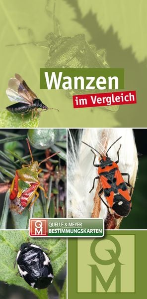 Produktbild: Wanzen