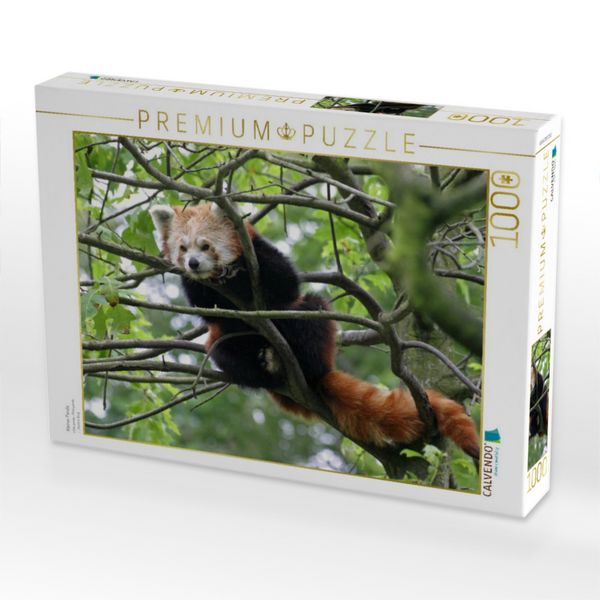 Produktbild: CALVENDO Puzzle Kleiner Panda | 1000 Teile Lege-Gr&ouml;&szlig;e 64x48cm Foto-Puzzle f&uuml;r gl&uuml;ckliche Stunden