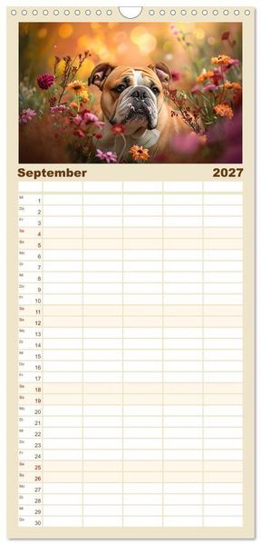 Produktbild: Familienplaner 2027 - Englische Bulldoggen im Bl&uuml;tenmeer mit 5 Spalten (Wandkalender, 21 x 45 cm) CALVENDO