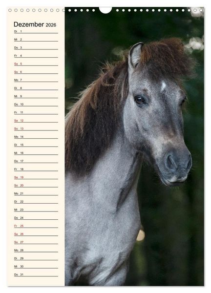 Produktbild: Isl&auml;nder Geburtstagskalender (Wandkalender 2026 DIN A3 hoch), CALVENDO Monatskalender