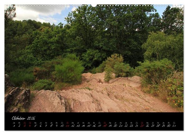 Produktbild: Broc&eacute;liande / Zauberwald der Bretagne (hochwertiger Premium Wandkalender 2026 DIN A2 quer), Kunstdruck in Hochglanz