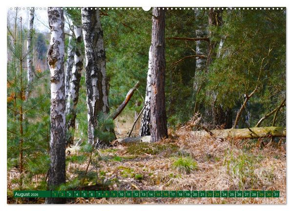 Produktbild: Der Loben. Im Reich der Moorgeister und Kreuzottern- S&uuml;dbrandenburgs letztes gro&szlig;es Moor (Wandkalender 2026 DIN A2 quer), CALVENDO Monatskalender
