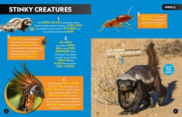 Produktbild: Gross Fact Bk_national G Ie Pb