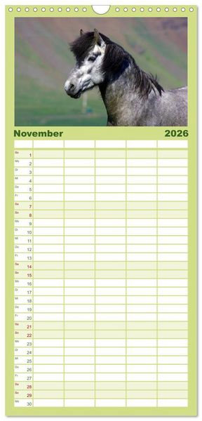 Produktbild: Familienplaner 2026 - Die Pferde Islands mit 5 Spalten (Wandkalender, 21 x 45 cm) CALVENDO