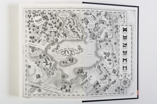 Produktbild: Warrior Cats - Special Adventure. Graustreifs Versprechen