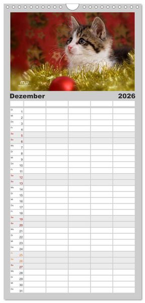 Produktbild: Familienplaner 2026 - Zauberhafte K&auml;tzchen mit 5 Spalten (Wandkalender, 21 x 45 cm) CALVENDO