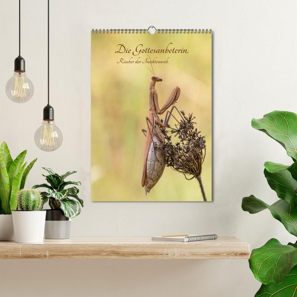 Produktbild: Die Gottesanbeterin. R&auml;uber der Insektenwelt. (Wandkalender 2026 DIN A3 hoch), CALVENDO Monatskalender