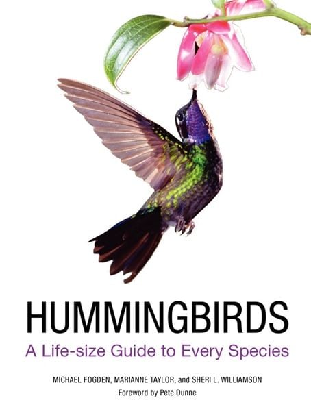 Produktbild: Hummingbirds