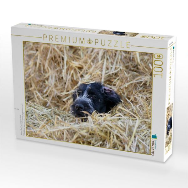 Produktbild: CALVENDO Puzzle Deutsch Drahthaar-Welpe im Stroh | 1000 Teile Lege-Gr&ouml;&szlig;e 64x48cm Foto-Puzzle f&uuml;r gl&uuml;ckliche Stunden