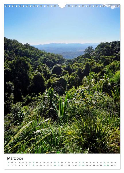 Produktbild: Regenwald - Australien (Wandkalender 2026 DIN A3 hoch), CALVENDO Monatskalender