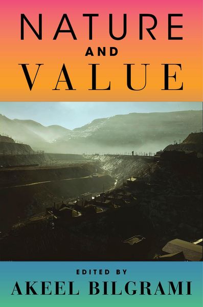 Produktbild: Nature and Value