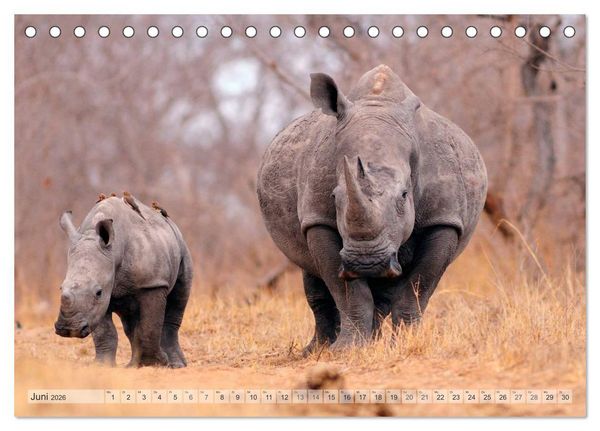 Produktbild: Afrikas Tierwelt Christian Heeb (Tischkalender 2026 DIN A5 quer), CALVENDO Monatskalender