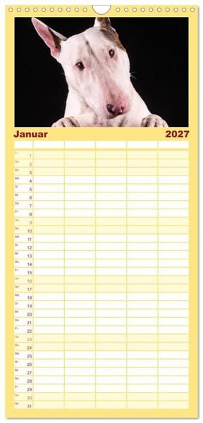 Produktbild: Familienplaner 2027 - Bullterrier mit 5 Spalten (Wandkalender, 21 x 45 cm) CALVENDO