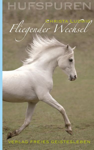Produktbild: Hufspuren: Fliegender Wechsel