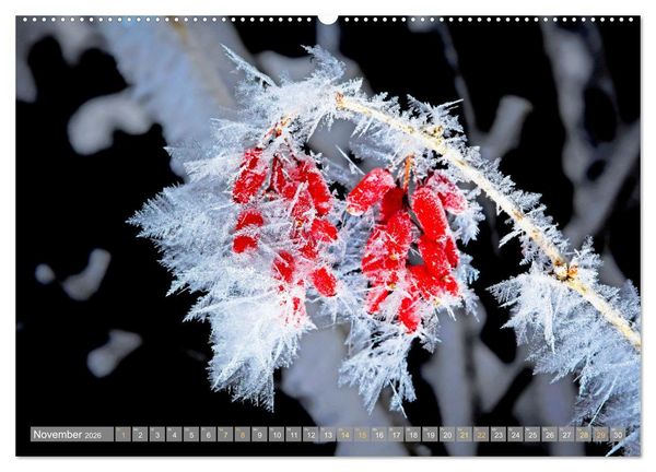 Produktbild: Farben und Muster der Erde (hochwertiger Premium Wandkalender 2026 DIN A2 quer), Kunstdruck in Hochglanz