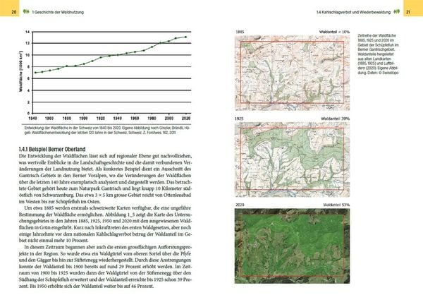 Produktbild: Waldbewirtschaftung in der Schweiz
