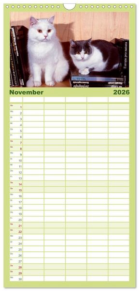 Produktbild: Familienplaner 2026 - Katzen mit 5 Spalten (Wandkalender, 21 x 45 cm) CALVENDO