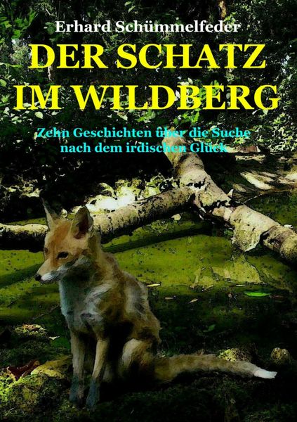 Produktbild: Der Schatz im Wildberg