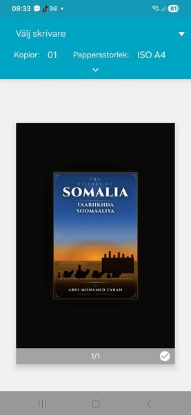 Produktbild: The history of somalia