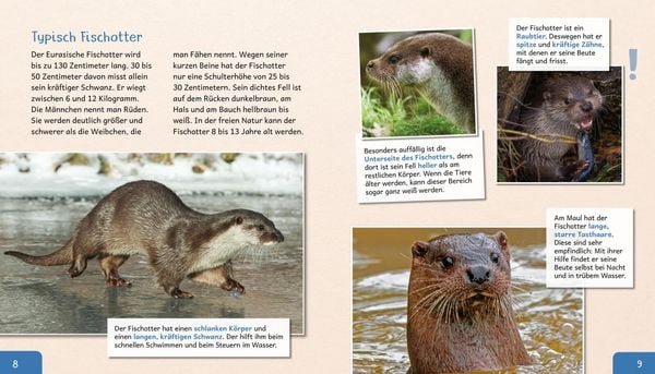 Produktbild: Meine gro&szlig;e Tierbibliothek: Der Otter