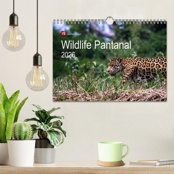Produktbild: Wildlife Pantanal 2026 (Wandkalender 2026 DIN A4 quer), CALVENDO Monatskalender