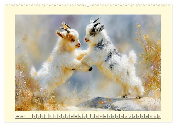 Produktbild: Zwergziegen. Kleine Wirbelwinde im Sonnenschein (hochwertiger Premium Wandkalender 2027 DIN A2 quer), Kunstdruck in Hochglanz