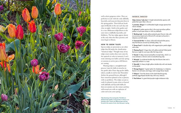Produktbild: Life with Flowers