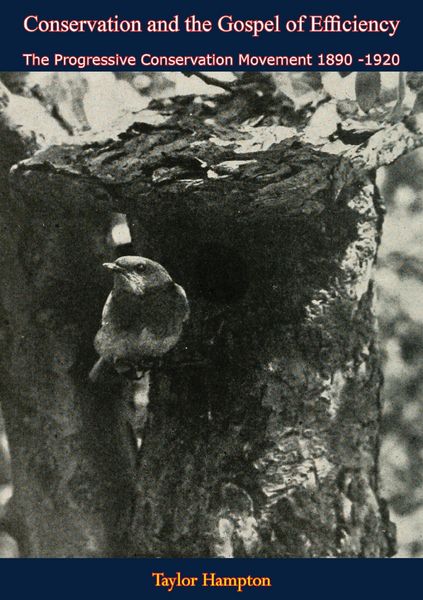 Produktbild: Conservation and the Gospel of Efficiency
