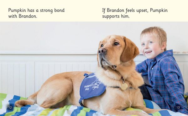 Produktbild: Dogs that Help