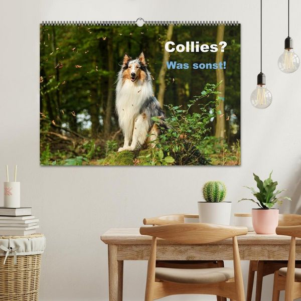 Produktbild: Collies? Was sonst! (Wandkalender 2027 DIN A2 quer), CALVENDO Monatskalender