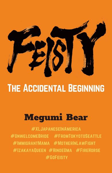 Produktbild: Feisty-The Accidental Beginning