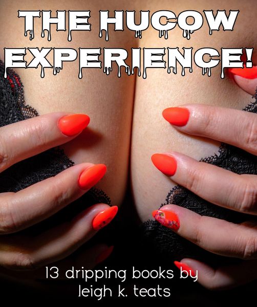 Produktbild: The HuCow Experience! - 13 Dripping Books